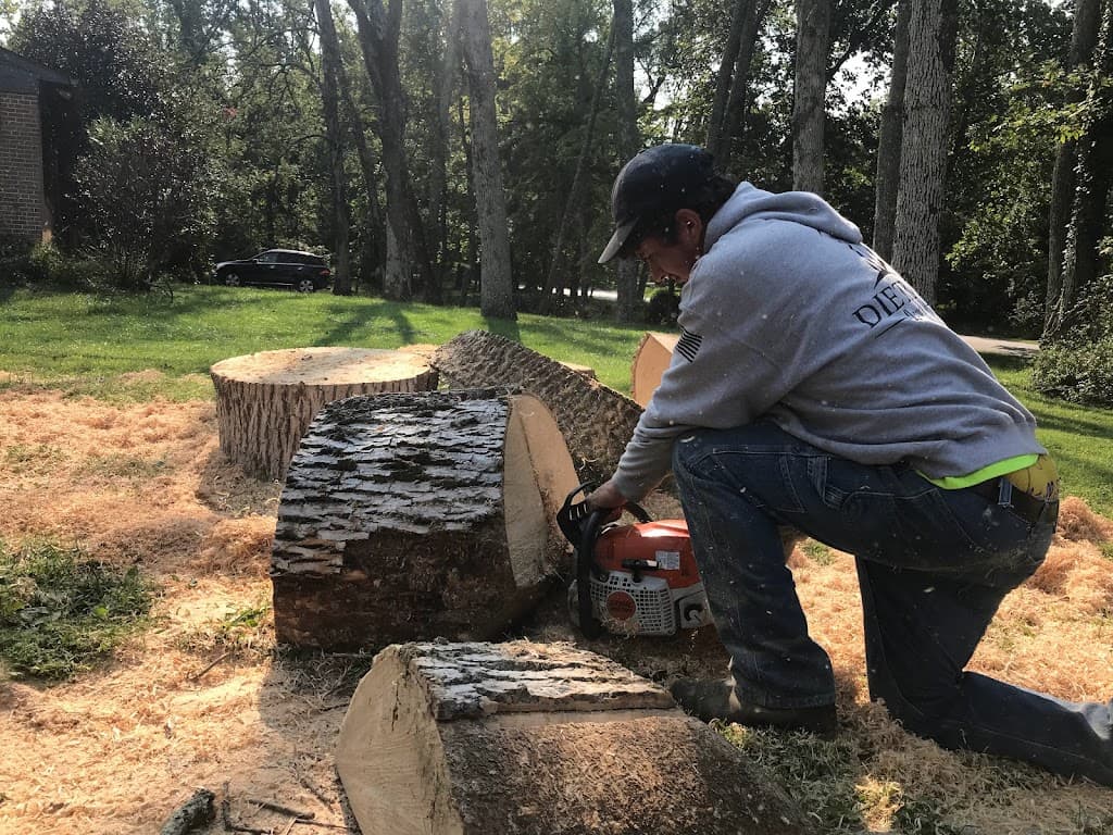 Picture of stump grinding